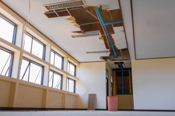 Best Water damage restoration specialists  in Mission Hills, KS