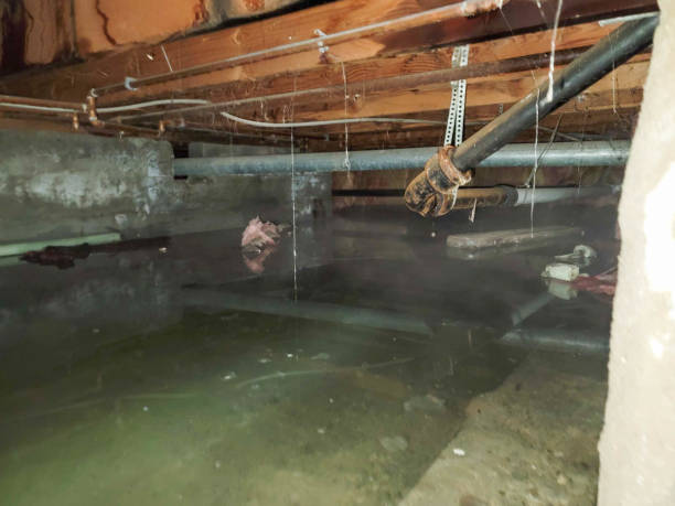 Best Carpet water damage restoration  in Mission Hills, KS