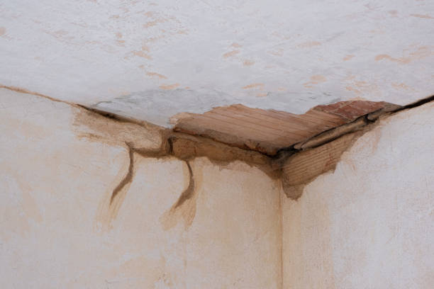 Best Local water damage restoration  in Mission Hills, KS
