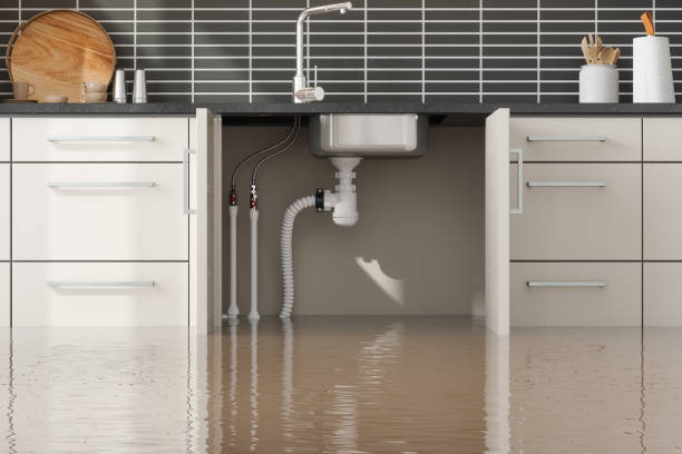 Best Professional water damage repair  in Mission Hills, KS