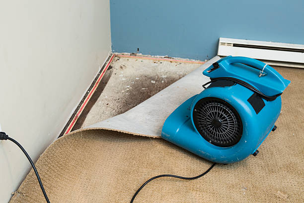 Best 24-hour water damage restoration  in Mission Hills, KS